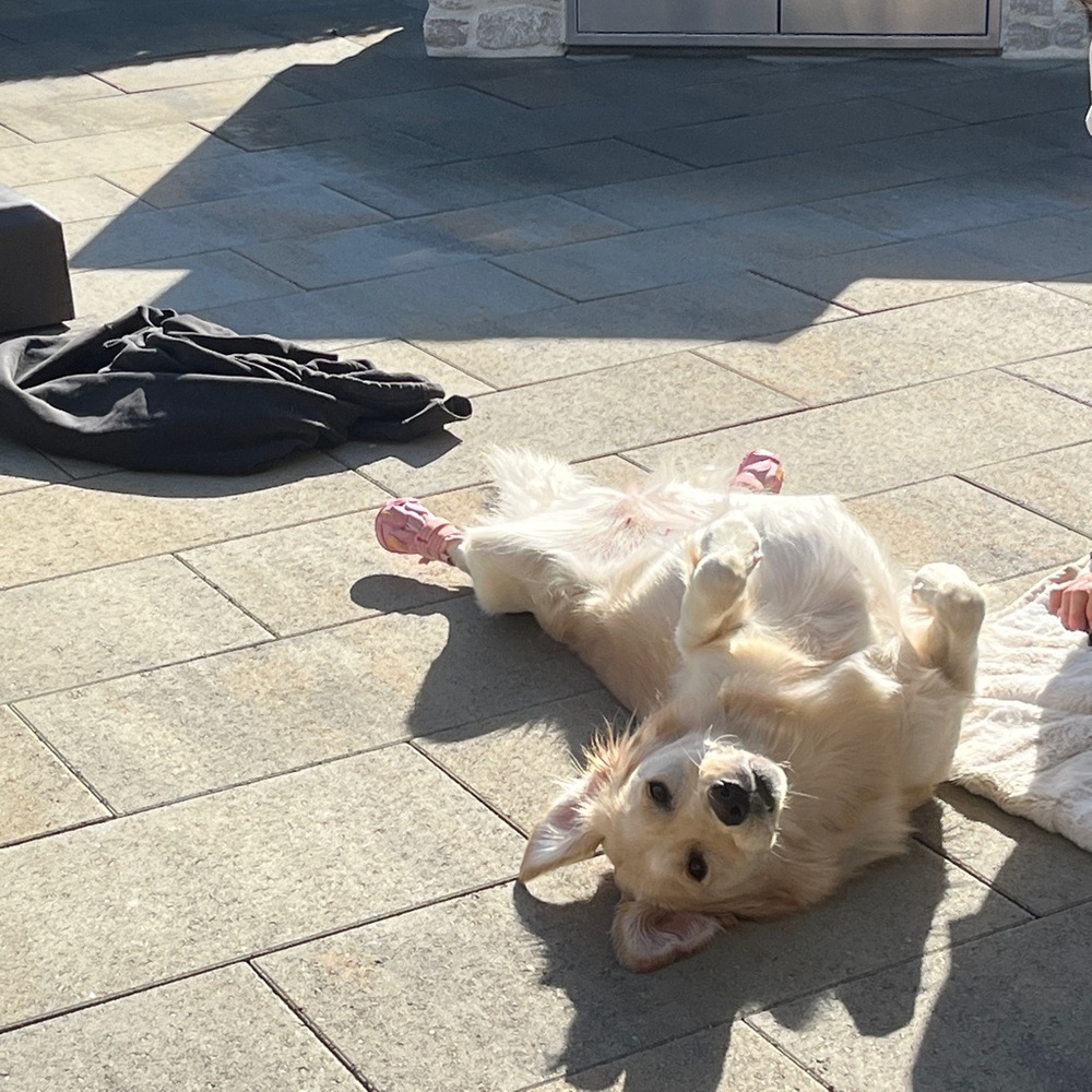 Meet your Posher, Emily